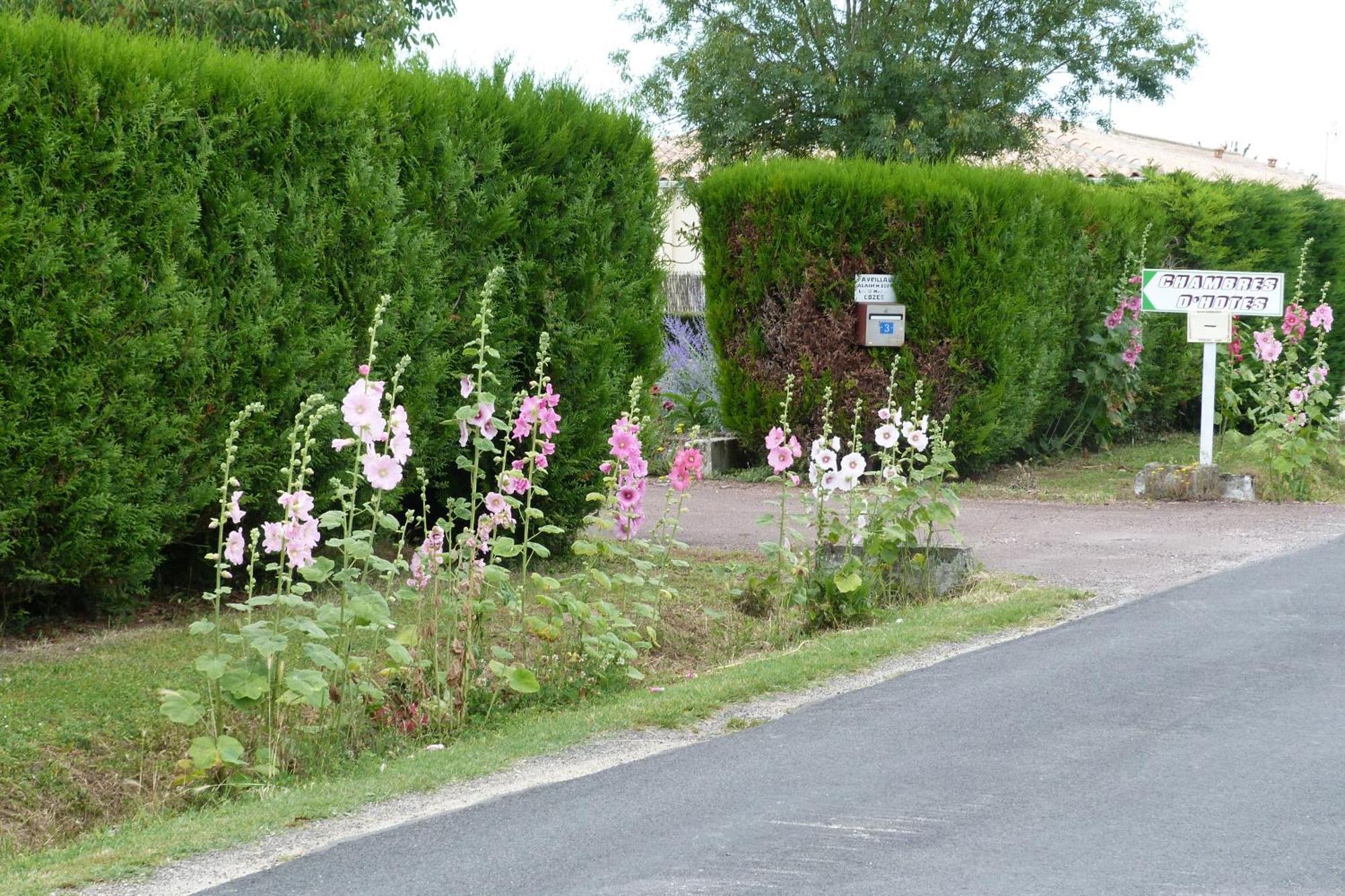 Chambre d'Hôtes Les 3 Moulins Cozes Extérieur photo